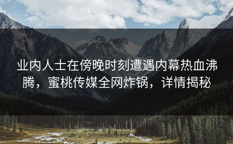 业内人士在傍晚时刻遭遇内幕热血沸腾，蜜桃传媒全网炸锅，详情揭秘