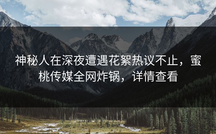 神秘人在深夜遭遇花絮热议不止，蜜桃传媒全网炸锅，详情查看