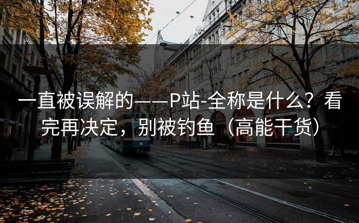 一直被误解的——P站-全称是什么？看完再决定，别被钓鱼（高能干货）